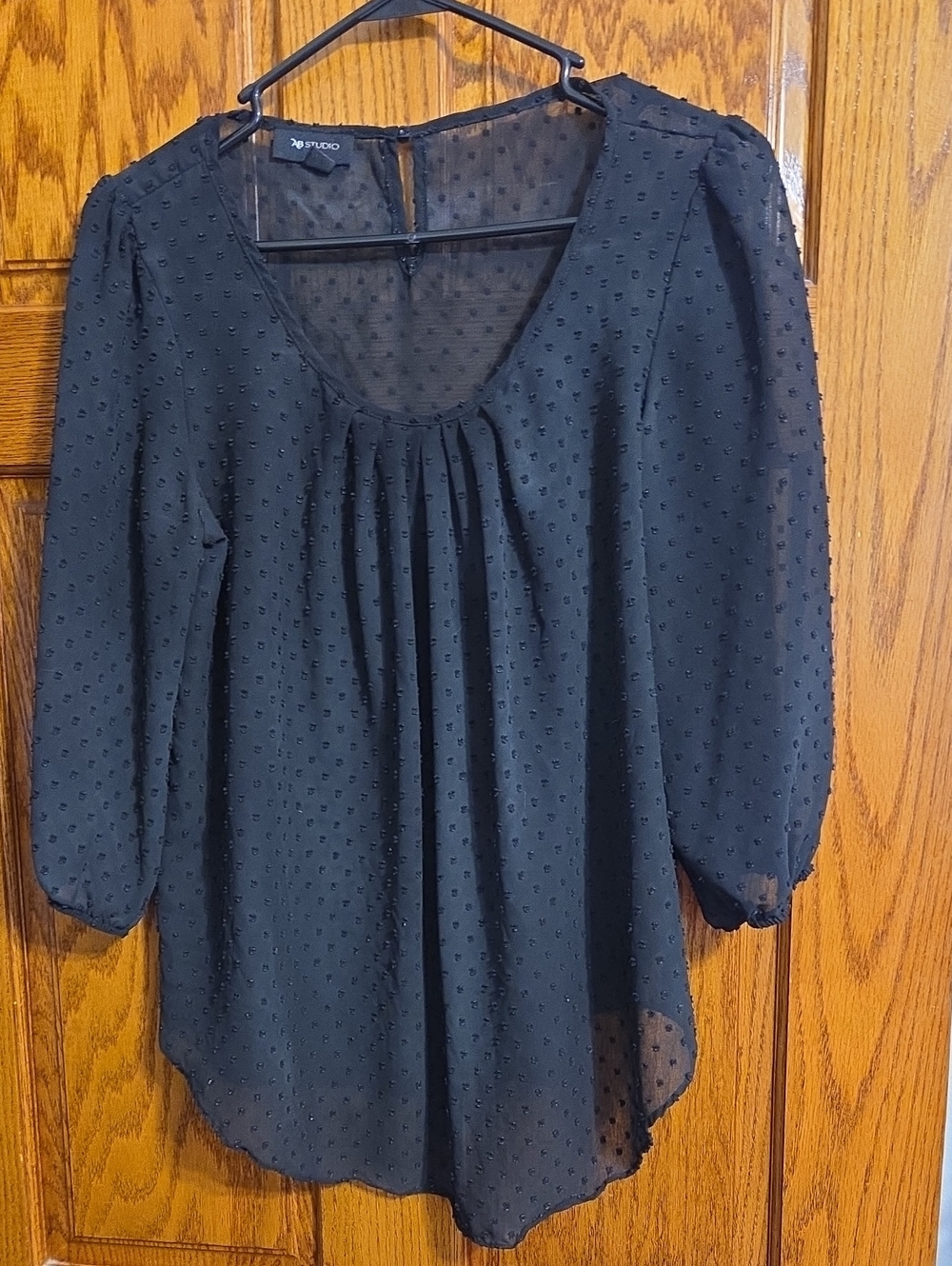Studio Black Swiss Dot Scoop-Neck Long-Sleeve Blouse